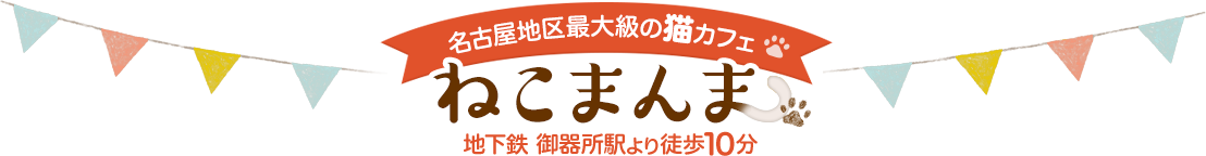 名古屋最大級の猫カフェ ねこまんま