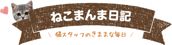 ねこまんま日記